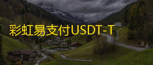 PUBG公益直装3.9彩虹易支付USDT-TRC20支付收款插件